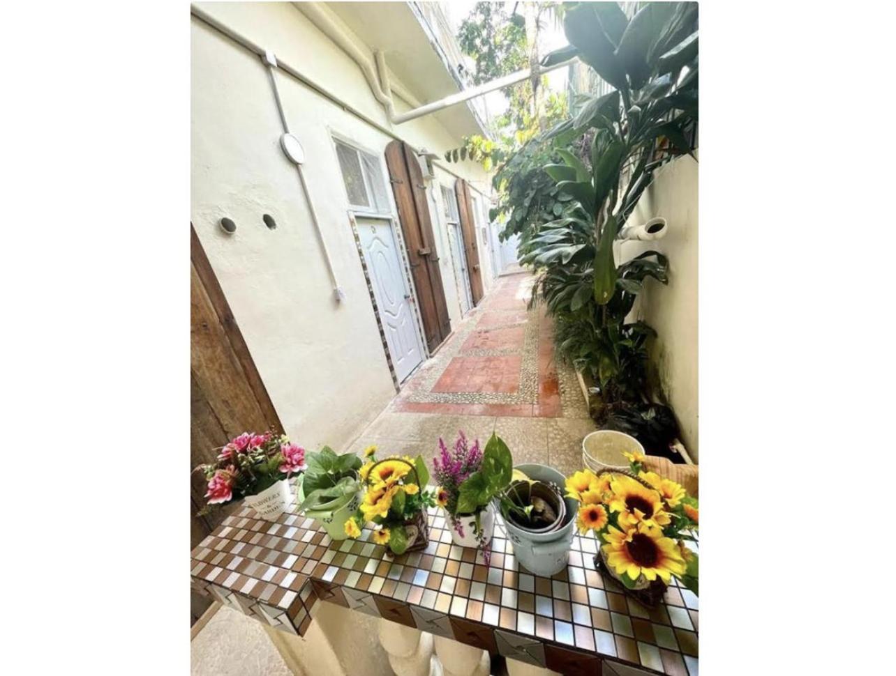 Hostel El Espanol Santo Domingo Exteriör bild